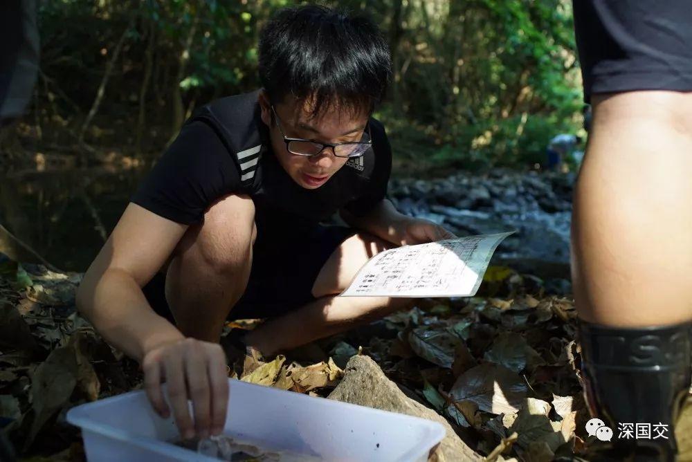 学生物，先去泰国原始丛林体验吧！ 深国交 学在国交 户外 第22张