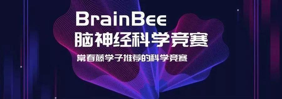SFC | 2019 Brainbee 脑科学大赛 深国交 深国交金融社 学在国交 第1张