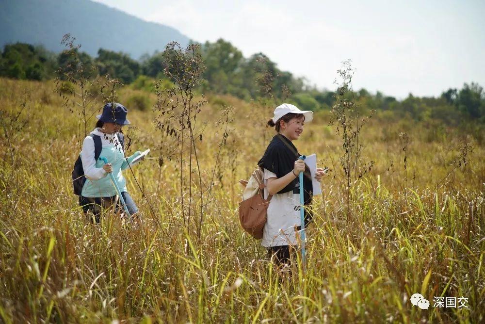 学生物，先去泰国原始丛林体验吧！ 深国交 学在国交 户外 第12张