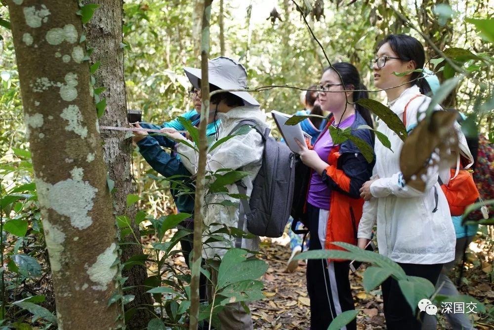 学生物，先去泰国原始丛林体验吧！ 深国交 学在国交 户外 第5张