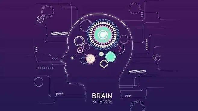 深国交，碧桂园，广外都在参加的赛事 -- Brain Bee脑科学大赛  竞赛 第5张