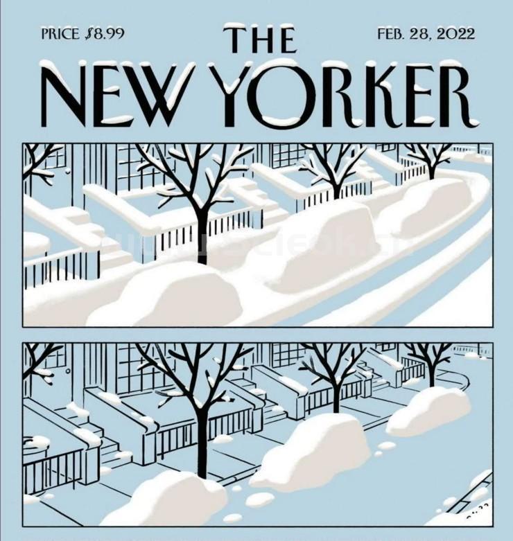 The New Yorker｜2022.02.28《纽约客》电子杂志英文版  Yorker（纽约客） 英文原版杂志 第1张