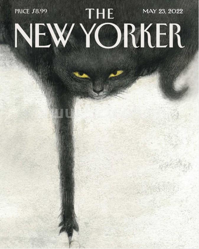 The New Yorker｜2022.05.23《纽约客》电子杂志英文版  Yorker（纽约客） 英文原版杂志 第1张