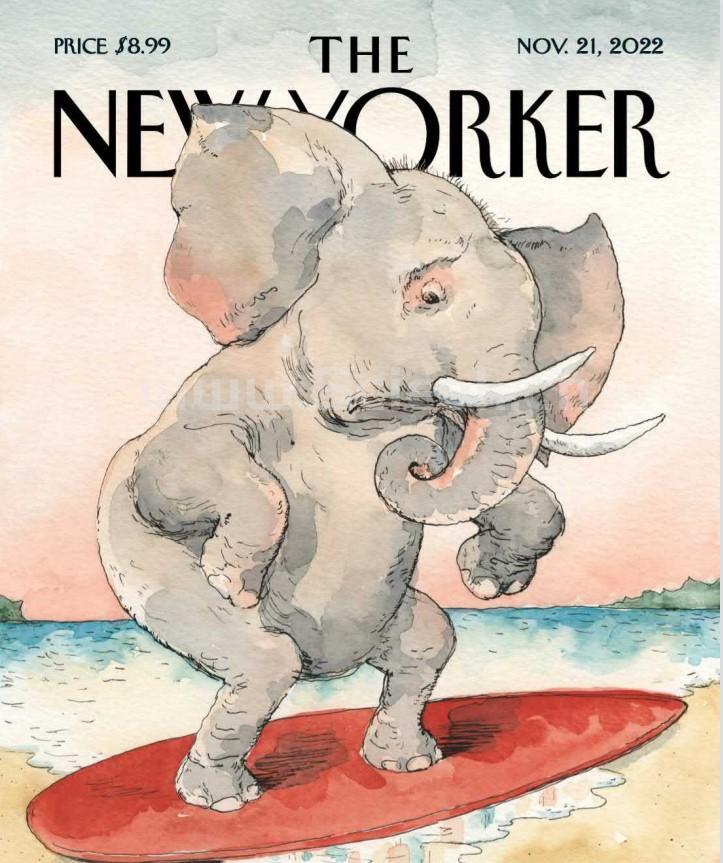 The New Yorker｜2022.11.21《纽约客》电子杂志英文版