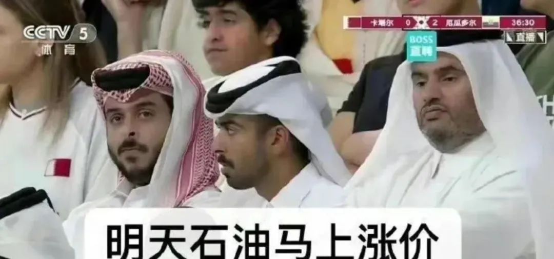 卡塔尔小王子被邀请上春晚，为什么我们要鼓吹一位扎根在苦难与压迫之上的”人造偶像“？  国际化教育理念 第12张